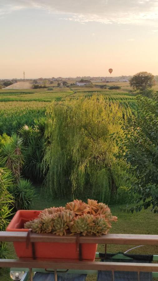 Bed and Breakfast Le Colline di Paestum Capaccio Esterno foto
